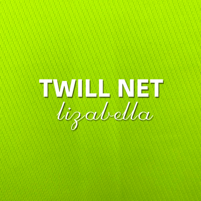 LB230079-TWILL NET斜纹网